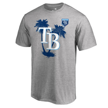 Tampa Bay Rays 2018 MLB Spring Training Vintage T Shirt Heather Gray