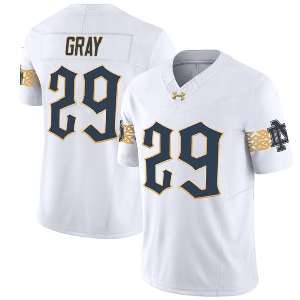 Men's Christian Gray Jersey #29 Notre Dame Fighting Irish 2024 Vapor Limited College Football White