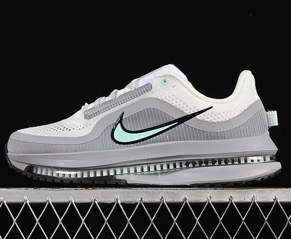 Nike Pegasus Premium Grey Black Light Jade HQ2592-107 Road Running Shoes Sneaker