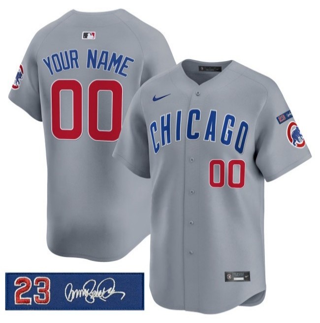 Chicago Cubs Custom 'Ryne Sandberg Tribute' Nike 2025 Limited Stitched MLB Jersey Grey V3